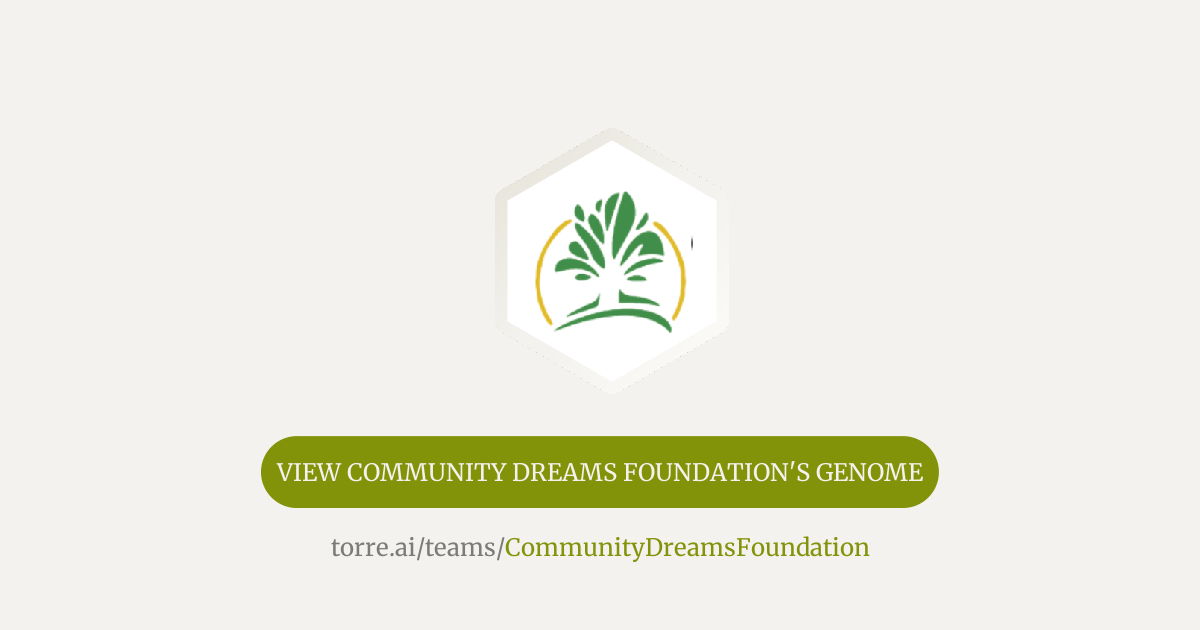 Community Dreams Foundation | Strategic precision, future-proofing, and ...