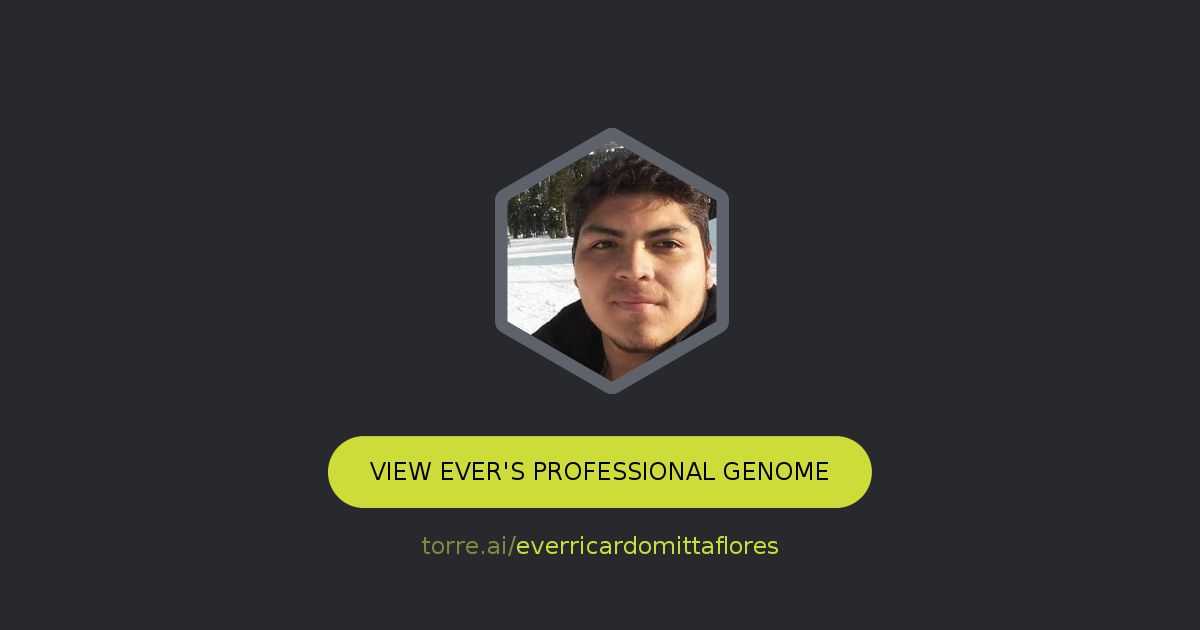 Ever Ricardo Mitta Flores Torre