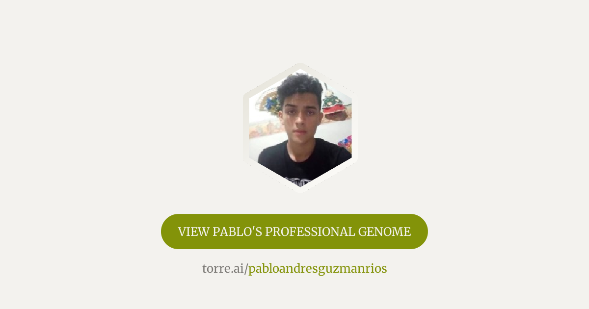 Pablo Andres Guzman Rios Software Engineer | Torre.ai